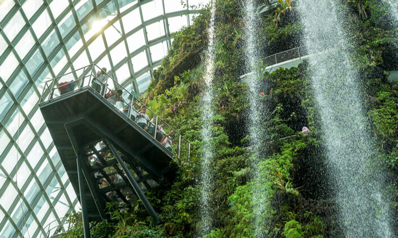 Maintainability of Indoor Green Wall in Singapore